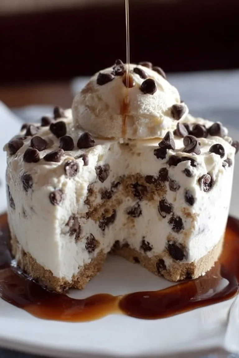 Best Chocolate Chip Ice Cream Cake