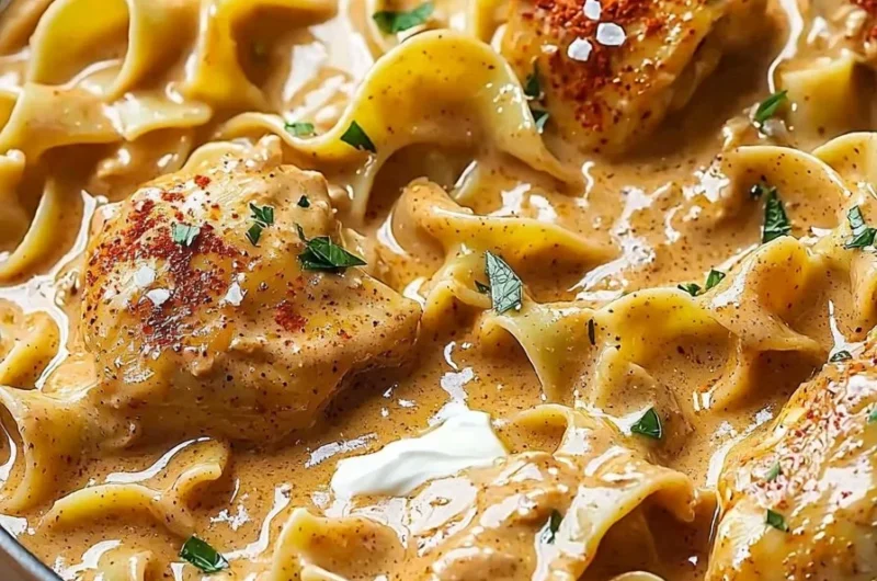 Hungarian creamy chicken paprikash served with egg noodles in a bowl