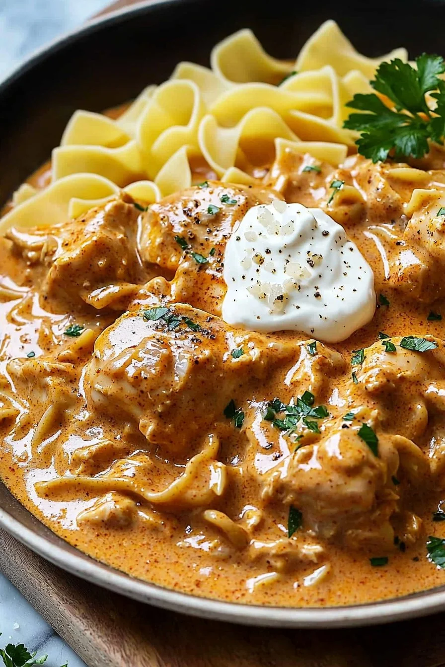 Creamy chicken paprikash served with egg noodles on a plate